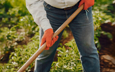 ¿Cómo ha evolucionado la agricultura en diferentes culturas?