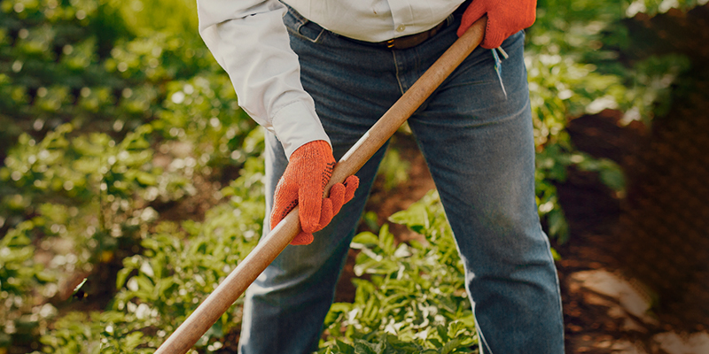 ¿Cómo ha evolucionado la agricultura en diferentes culturas?